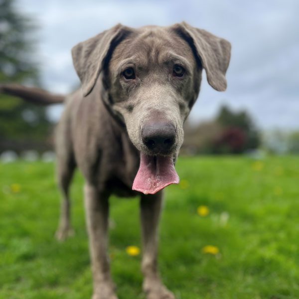 Website-photo,-August-2025-(1)