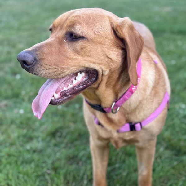 Website-pic-Aug-2025