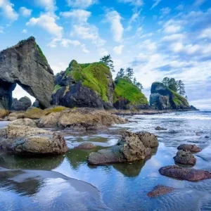 Olympic National Park - Shi Shi Beach